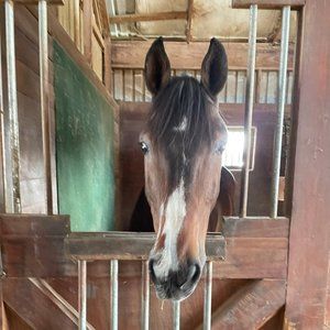 Meet your Posher, Caroline